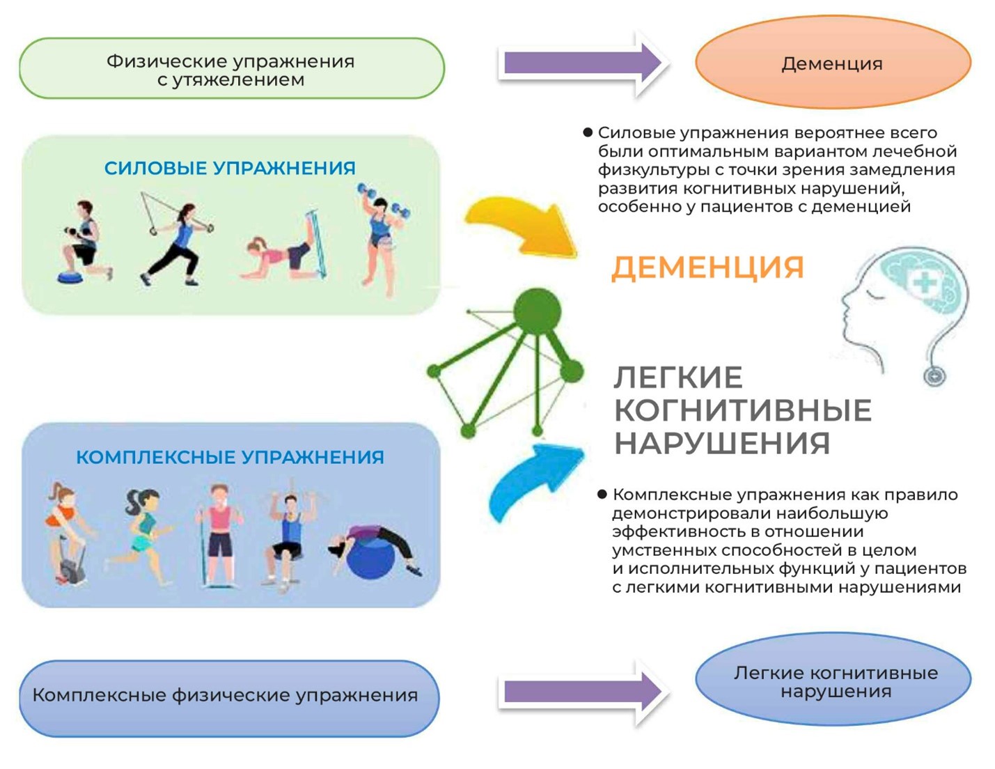Восстановление высших мозговых функций возможно? Мультидисциплинарный подход, фото 1