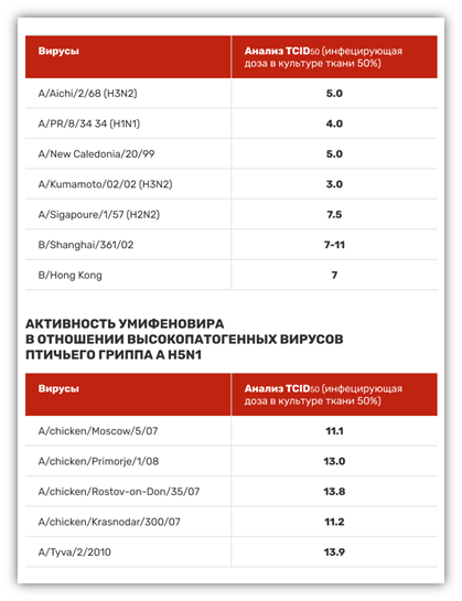Человечество VS вирус: итоги VI Российско-Китайского симпозиума по инфекционным болезням, фото 2